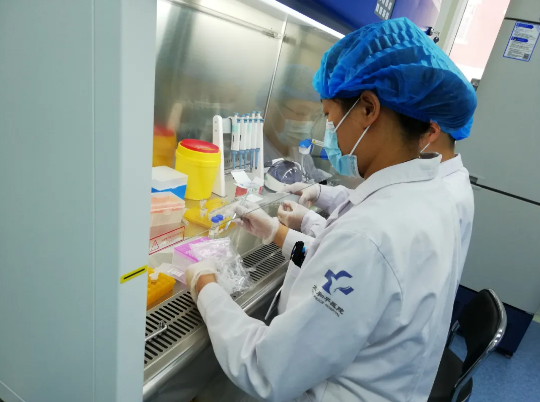 太原和平医院PCR实验室正式投入使用~HPV/核酸检测走上快车道！