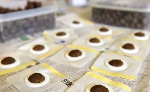 集赞免费贴敷！！！三伏贴活动火热预约中，赶紧行动起来！