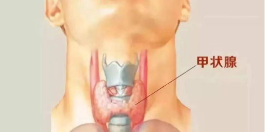 dc1901ca7bfd4122aa9d470228399e54.png image.png