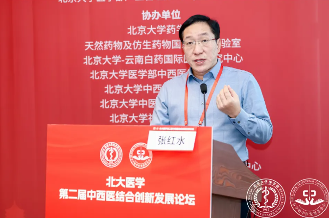 前沿高峰论坛、创新引领发展——我院副院长张红水在北大论坛进行主题报告